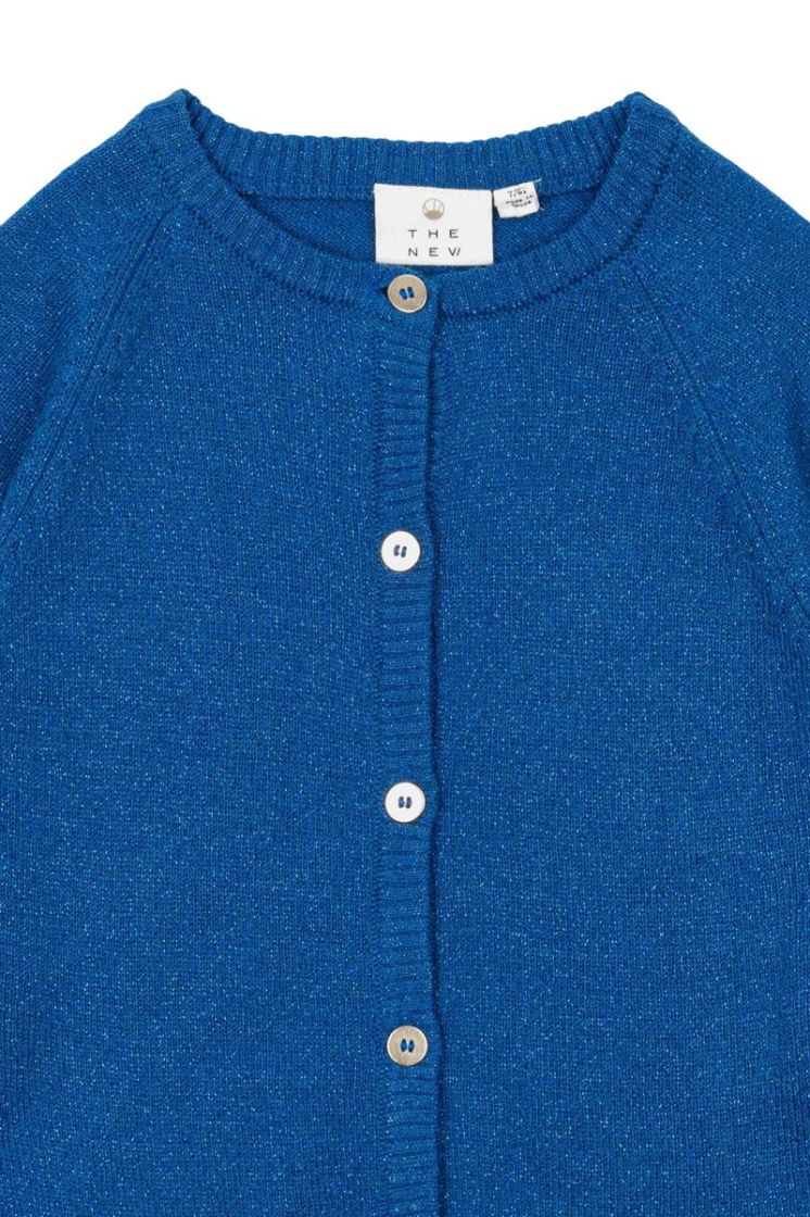 TNEVE GLITTER CARDIGAN DAPHNE