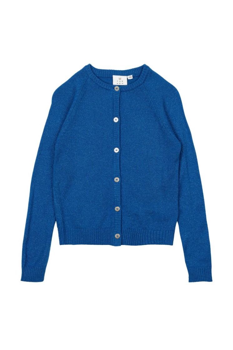 TNEVE GLITTER CARDIGAN DAPHNE