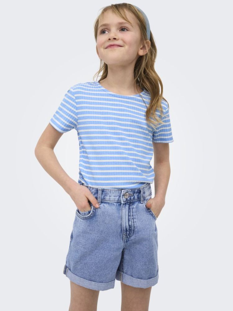 Blue 4401441