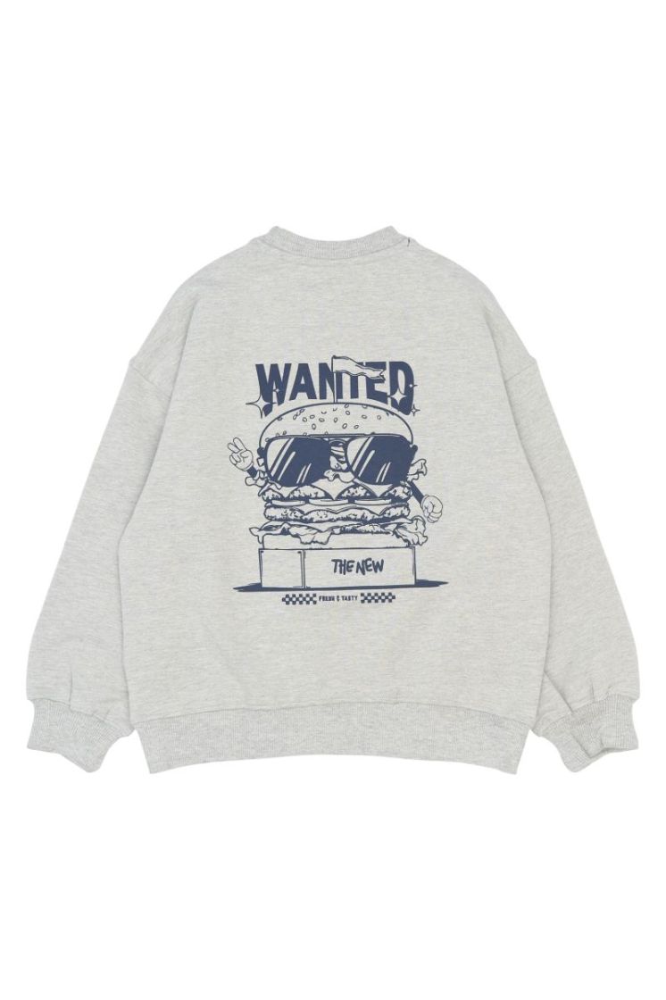 TNStevie Sweatshirt Light Grey Mela