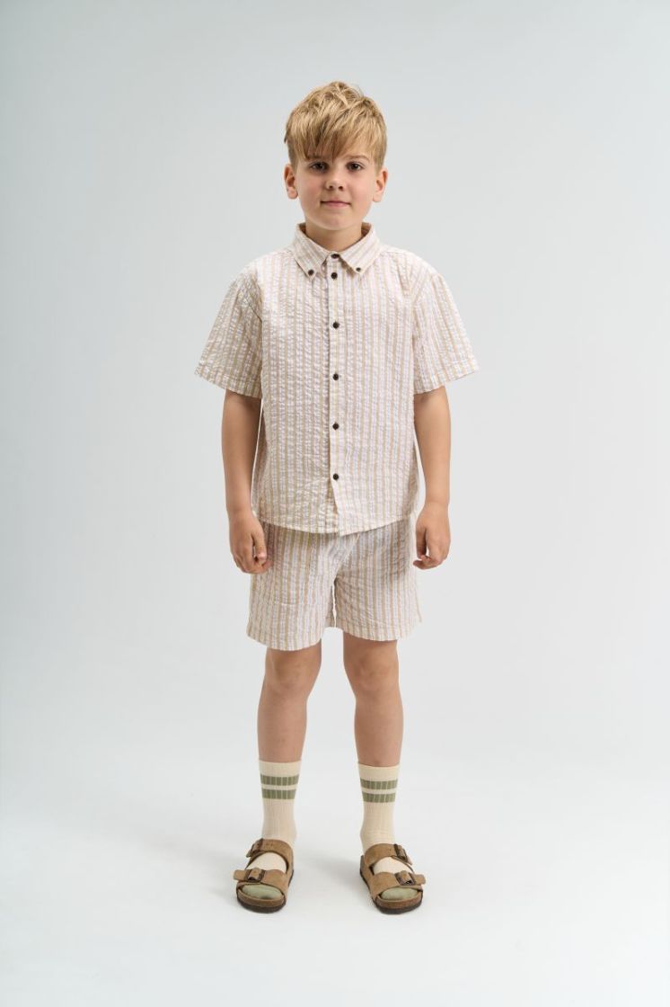 TNSmith S_S Shirt Humus Striped