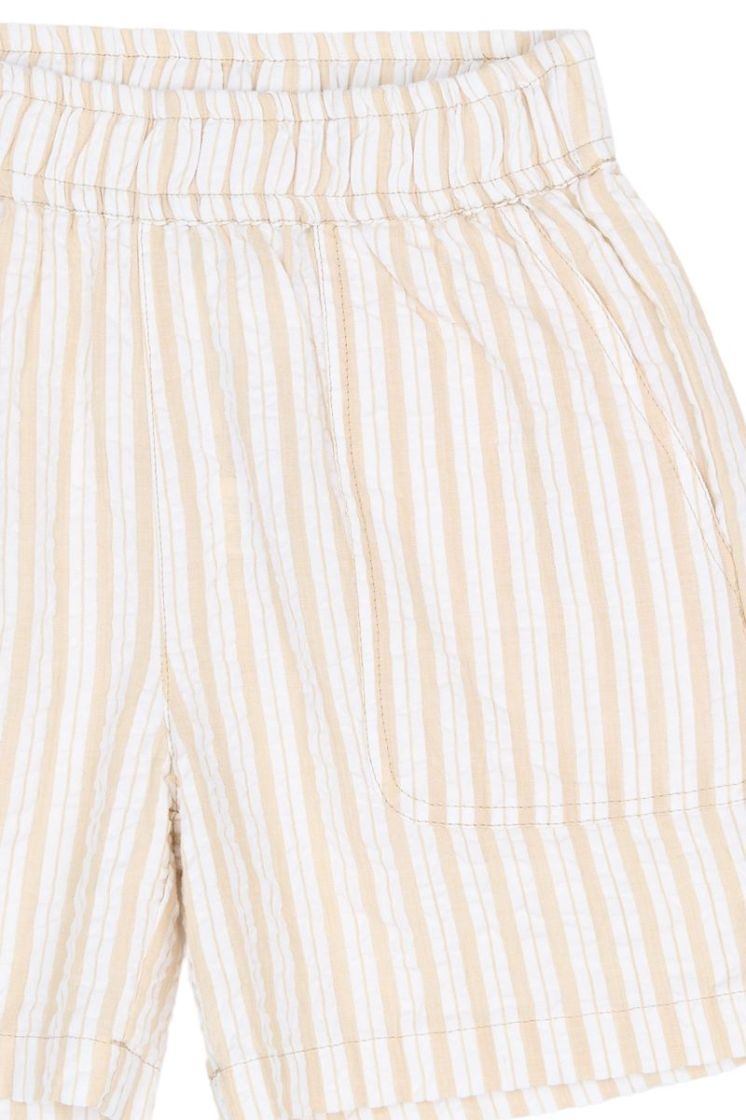 TNSmith Shorts Humus Striped