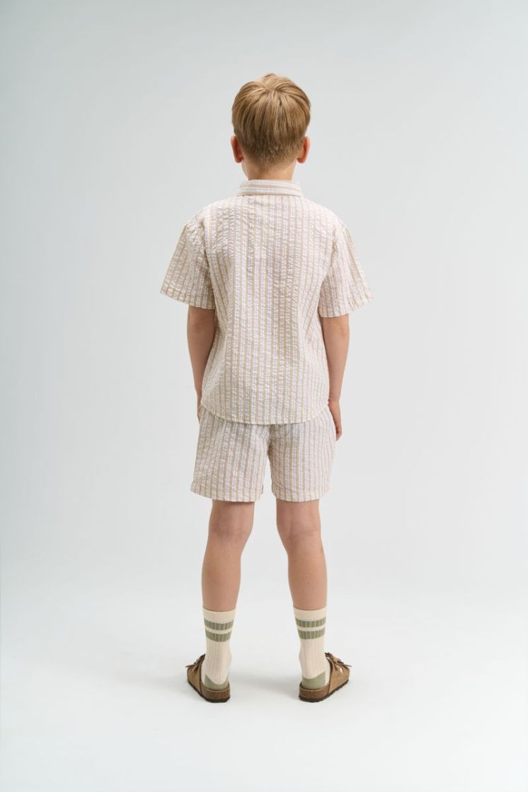 TNSmith Shorts Humus Striped