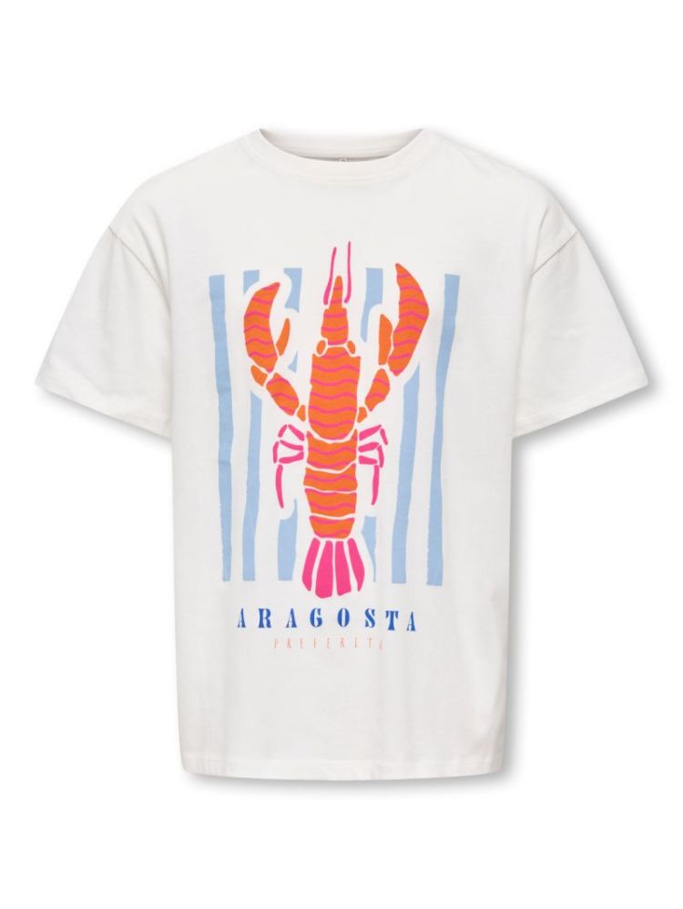 15368889 4958378 White