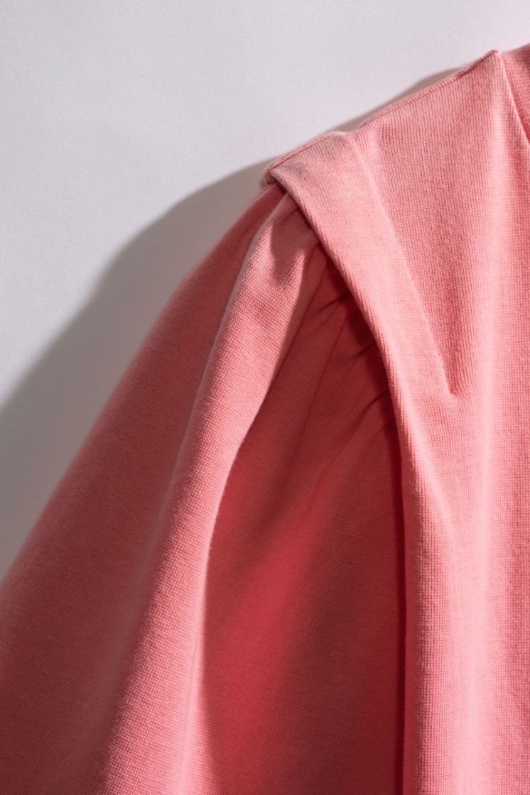 312829 RSF PINK BRIGHT