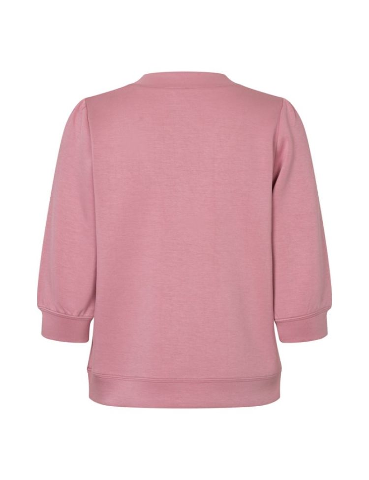 KADI V-M WILD ROSE  