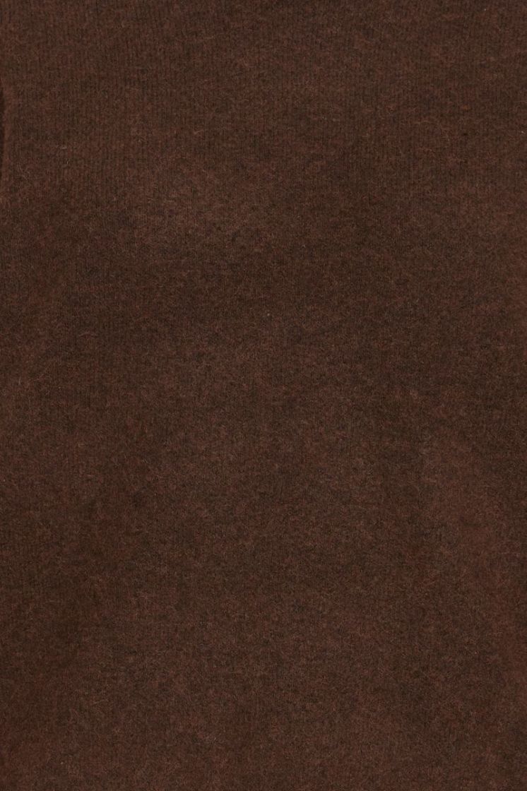 191419 Chicory