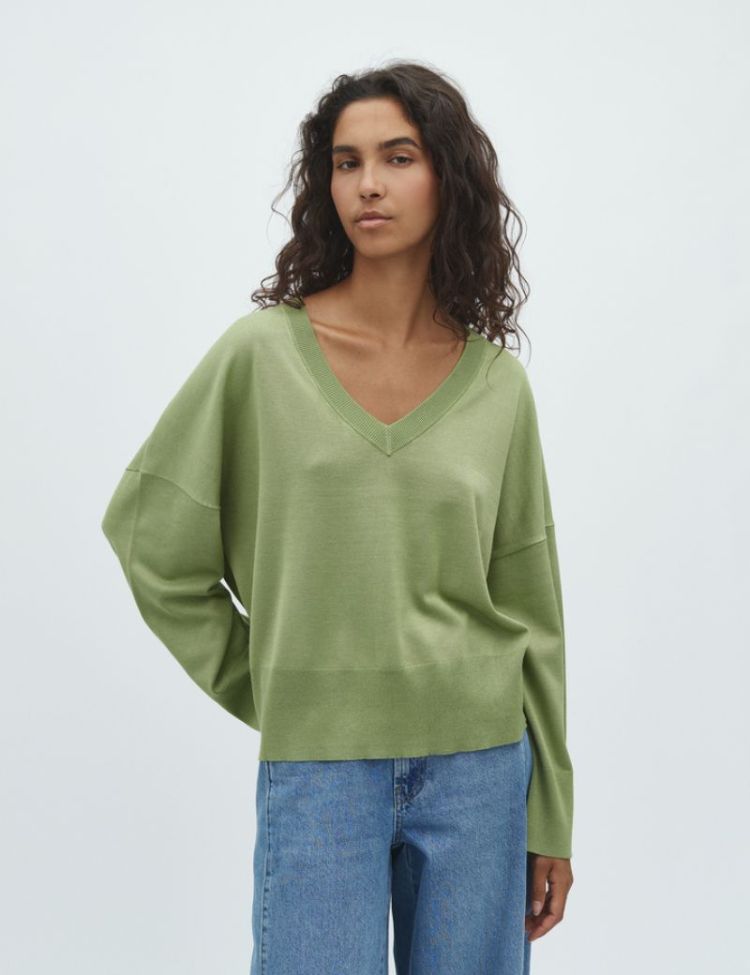 57620487 warm olive dust
