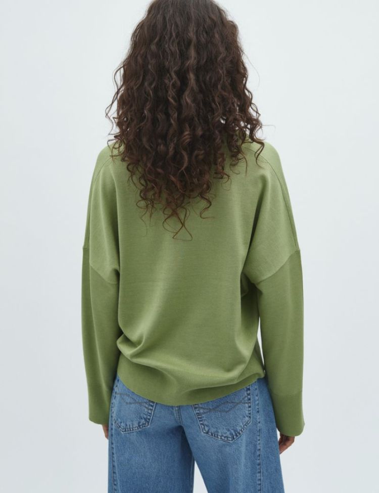 57620487 warm olive dust
