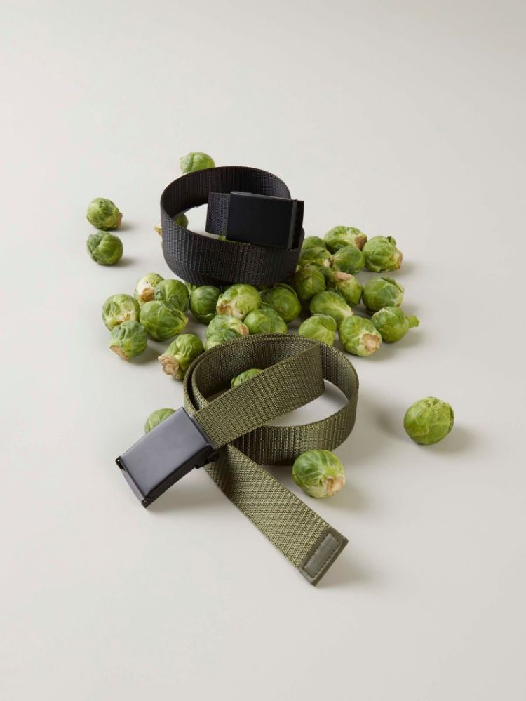 13227077 Olive Night 508