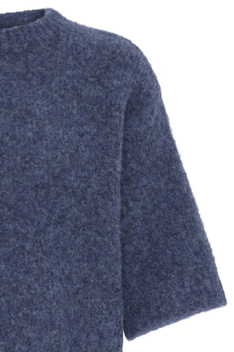 1839291 Blue Ho