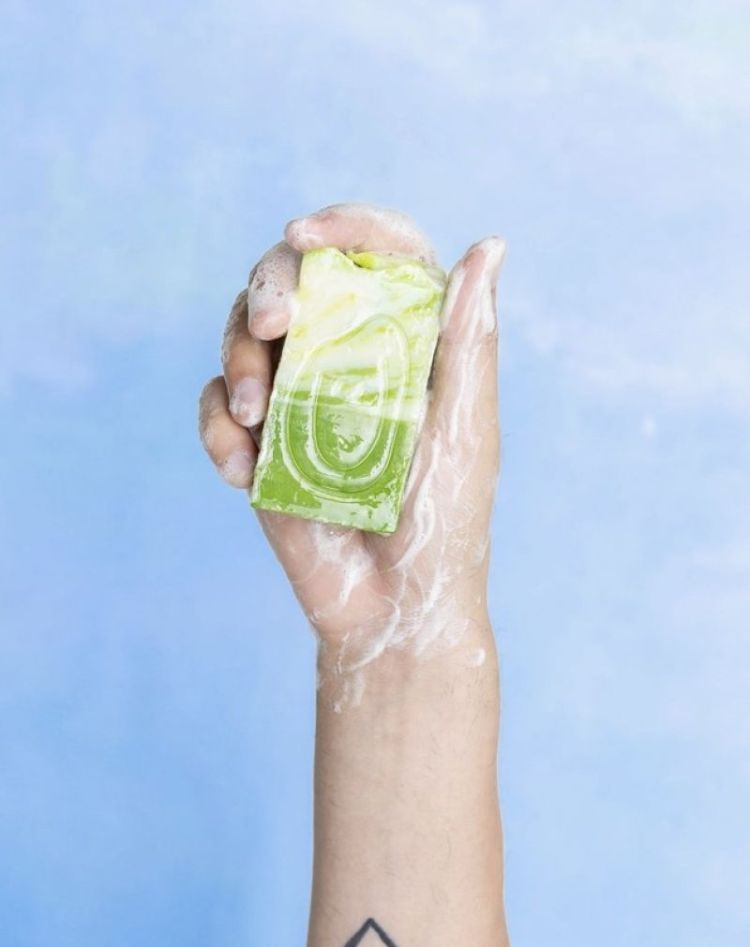  ALOE VER