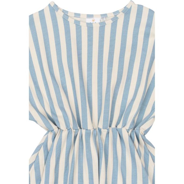 TN7042 BLUE STRIPE