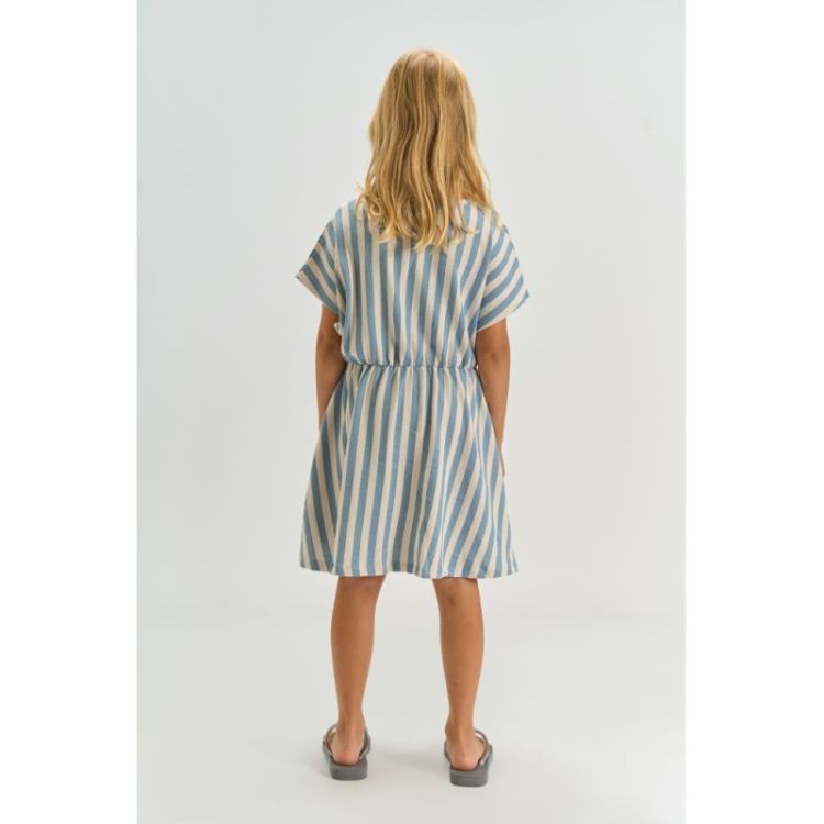 TN7042 BLUE STRIPE